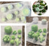 Palksky 10 Pcs Succulent Molds Silicone Candle Molds 3D Cacti Epoxy Resin Casting Molds Cactus Clay Molds Christmas Molds for DIY Making Wax Melt ...