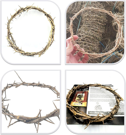 ZULUF 7.5" Crown of Thorns from Bethlehem Jerusalem – Authentic Holy Land Passion of Christ Gift Boxed Ornament HLG027...
