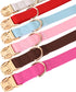 PET ARTIST Soft & Comfy Girl Dog Collars, Bright & Classic Christmas Red Dog Collar Leather for Medium Dogs, Durable & Heavy Duty Nylon Dog Collar...