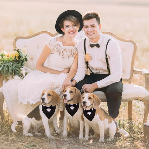 ADOGGYGO Formal Dog Tuxedo Wedding Dog Bandana Collar Dog Collar with Bow Tie Adjustable Dog Bowtie Collar Bandana for Small Medium Large Dog Pet ...