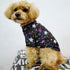 Small Dog Clothes for Boys Boys Girls Dog Shirts Galaxy Cat Sweater Pet Outfit Puppy Clothing (X-Large)...