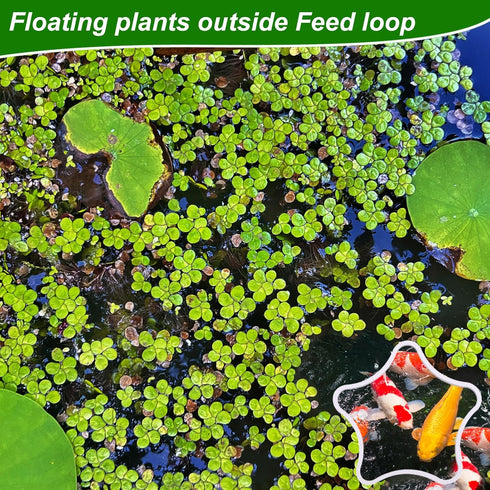 5pcs Aquarium Floating Plant Rings, Star-Shaped Fish Feeding Rings Foam Fish Tank Plant Corral Duckweed Isolation Circle Keep Plants in Place (Whi...