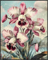 Posterizer 1 pcs-dainty unique baby pink flowers in the wild-Floral & Botanical Art-Abstract & Modern Art-Decor for Home & Office- UNFRAMED Wall A...