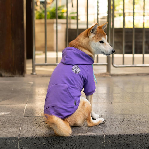 Adjustable Neck Girth Dog Clothes Small Dogs Hoodie Cozy Warm Winter Pullover Clothing Sweater for Tiny Puppy Sweatershirt - Purple Small...