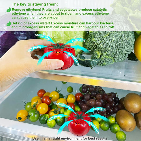 Produce Freshness Preserver Saver - Keep Fruits and Vegetables Fresh Longer, Ethylene Gas and Odor Absorber in Refrigerator (12 Refill Sachets)...