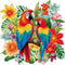 51buyoutgo Parrot 11ct Cross Stitch Kits, 11 CT Easy Funny Pre Printed Counted Stamped Cross Stitch Embroidery Needlepoint Needlework Patterns Kit...