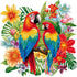 51buyoutgo Parrot 11ct Cross Stitch Kits, 11 CT Easy Funny Pre Printed Counted Stamped Cross Stitch Embroidery Needlepoint Needlework Patterns Kit...