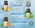 Essential Oil Set - Essential Oil Blends with Bonus Bottle Opener - Energizing and Relaxing Scents - Essential Oils for Diffusers Aromatherapy and...