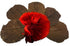 Awesome Aquatic Betta Leaves 10 4" - 6" Premium Catappa Indian Almond Leaves Natural Habitat, Tannin Producing, Improves Immunity, Calms and Reduc...