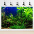 Aquarium Background Aquatic Plants Fish Tank Background Stone River Bed & Lake Aquarium Background Tropical Fish Tank Background Undersea Tree Bra...