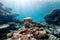 Aquarium Background Underwater Various Cora Reef Sunlight Terrarium Background Seafloor Landscape Aquarium Undersea Reef Rock Fish Tank Backdrop D...