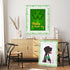 49.2 Ft St. Patrick's Day Bulletin Board Border Roll, Shamrock Clover Bulletin Board Border Trim for St. Patrick's Day Irish Holiday Classroom Off...