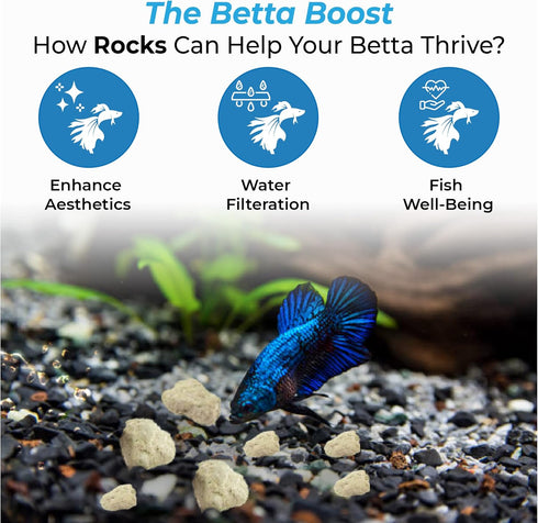 JOR Betta Fish Calcium Rocks, 2 oz. Water Conditioner and pH Regulation Stones, Increased Multiplication of Fish Fry, Enhanced Bone Strength, Trop...