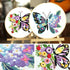 BREENHILL 2 Sets Embroidery Kit Starter with Pattern and Instructions, DIY Beginner Starter Cross Stitch Kit Include Embroidery Hoop, Needlework f...