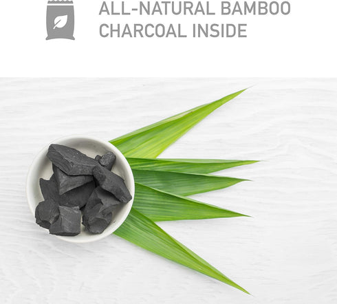 PureGuardian CB200 Bamboo Charcoal Air Purifying Bag, Eco-Friendly, Naturally Absorbs Odors, Excess Moisture and Pollutants, 200g, Gray...