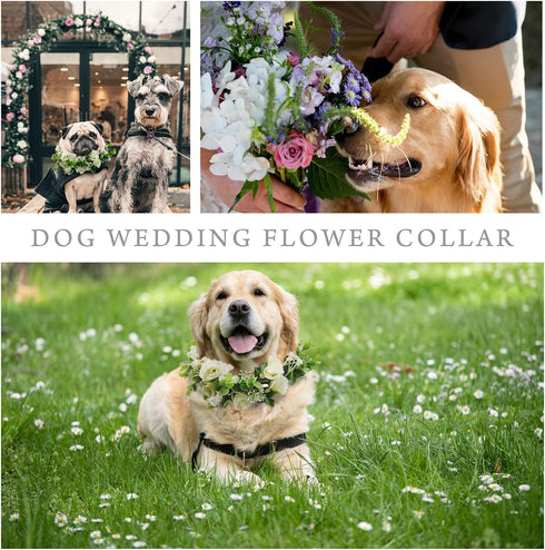 Dog Wedding Flower Collar,dog flower collar,rose flower crown,flower crown,dog wedding collar,flower dog collar,for Weddings Flower Ring Pets Cats...