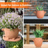 Mr. Smiley Small Plant Pot with Drainage, Cute Clay Planter for Succulent, Funny Gifts for Plant Lovers, Face Terra Cotta Flower Pots for Indoor a...