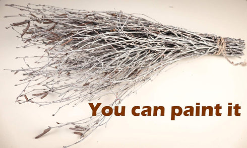 50 pcs Birch Branches for Vases, Decoration for Sale. Natural Birch Twigs for centerpieces. Floral Stick....