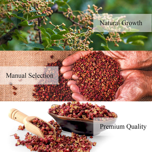 Yimi Sichuan Szechuan Peppercorns, Grade AAA Sichuan Whole Red Peppercorn, Strong Flavor for Mapo Tofu, Kung Pao Chicken, Ideal for Gift, 2.1 oz...