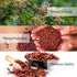 Yimi Sichuan Szechuan Peppercorns, Grade AAA Sichuan Whole Red Peppercorn, Strong Flavor for Mapo Tofu, Kung Pao Chicken, Ideal for Gift, 2.1 oz...