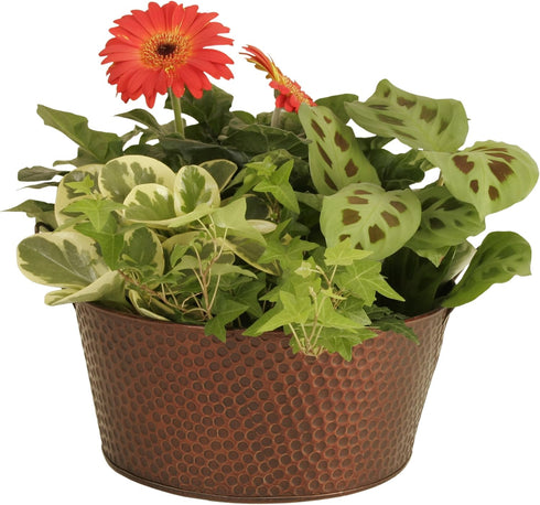 Wald Imports Copper Hammered Metal 10.5" Beverage Bucket/Pail/Tub...