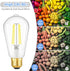 6-Pack Dimmable LED Light Bulbs, 7W 60Watt Equivalent Edison Bulbs, 900LM Ultra Bright LED Bulbs, 5000K Daylight White, ST58 Vintage Antique Bulbs...