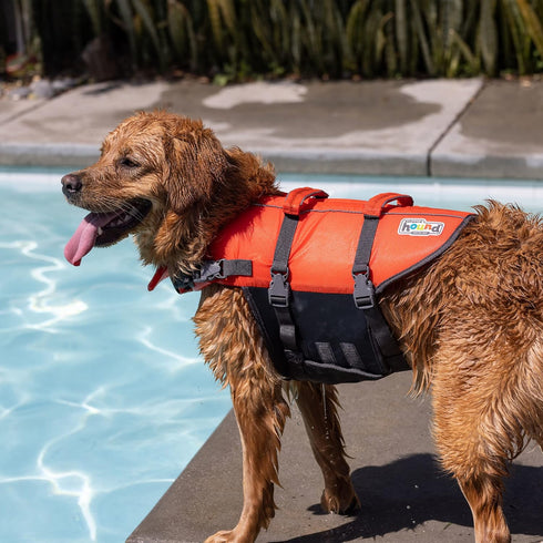 Outward Hound Granby Splash Orange Dog Life Jacket, Large...