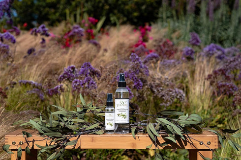 EuroSpa Aromatics Pure Eucalyptus Oil ShowerMist and Steam Room Spray, All-Natural Premium Aromatherapy Essential Oils - Pure Eucalyptus, 2oz...