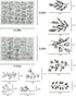 YUYUZSEN 59 Pcs Water Soluble Hand Sewing Stabilizers?Embroidery Stick and Stitch Embroidery Paper Wash Away?for Embroidery Stabilizers Flower Pat...