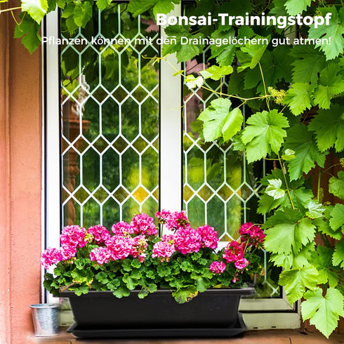Bonsai Pot 6.5 Inches, 6 Packs Rectangle Bonzai Training Pots with Drainage Trays, Plastic Flower Pot Humidity Trays, Square Potted Planter Pot fo...
