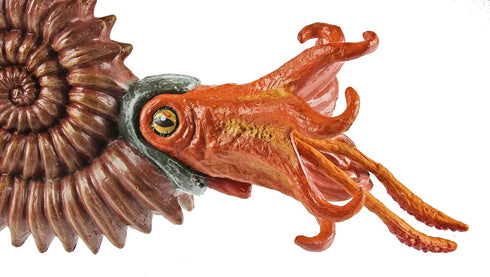 Safari Ltd. Ammonite Figurine - Detailed 5.25" Marine Mollusc Figure - Educational Toy for Boys, Girls, and Kids Ages 3+...