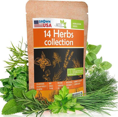 14 Culinary Herb Seeds Pack - Heirloom and Non GMO, Grown in USA - Indoor or Outdoor Garden - Basil, Parsley, Dill, Cilantro, Rosemary, Mint, Thym...