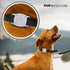 Pup Culture IP68 Waterproof AirTag Dog Collar Holder | 2.5X Stronger Than Competitors - Track Your Pet Using Apple AirTag Technology Without a Sub...