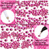 LPBeads 6400 Pieces Hotfix Fuchsia Rhinestones Flat Back 5 Mixed Sizes Crystal Round Glass Gems with Tweezers and Picking Rhinestones Pen...
