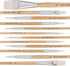 Jerry Q Art 12 PC White Synthetic Hair Round and Flat Paint Brush Set with Short Wood Handle for Acrylic, Watercolor and All Media JQ17931...