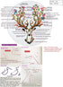 Maydear Stamped Embroidery Kit for Beginners with Pattern, Cross Stitch kit, Embroidery Starter Kit Including Embroidery Hoop, Color Threads and E...