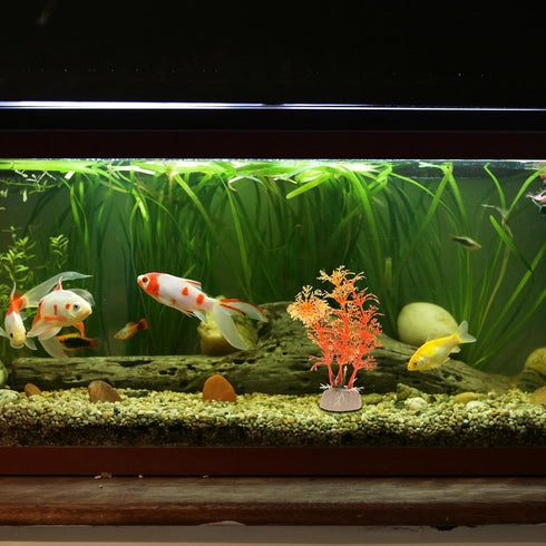 Aquarium Decoration, Aquarium Plastic Plants Decoration for Aquarium Fish Tank,4.72Inch(Orange,2Pcs)...