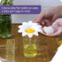 Peleg Design Daisy Plastic Egg Separator, Egg White Yolk Divider Kitchen Gadgets Baking Tools Egg Extractor, Cute Flower Design...