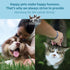 Happy Tummy Probiotic for Dogs Soft Chewables, 5.3 oz - Digestive Support, Immune System, Gut Health...