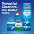 Clorox ToiletWand, Disinfecting Wand Refill Heads - Rainforest Rush, 10 Count (Package May Vary)...