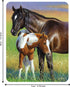 3D LiveLife Magnet - Mare & Foal from Deluxebase. Lenticular 3D Horse Fridge Magnet. Magnetic Decor for Kids and Adults with Artwork Licensed from...