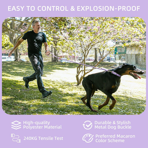 Wisedog Polyester Rope Dog Leash Heavy Duty with Soft Comfortable Padded Handle, Durable Stylish Braided Pet Leash 5 Ft/6 Ft for Small Medium Larg...