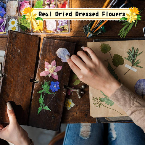 Nuanchu 167 Pcs Real Dried Pressed Flowers Natural Dried Flowers Colorful Daisy Mixed Wildflowers Leave for DIY Candle Resin Nails Jewelry Pendant...