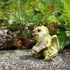 Top Collection Miniature Garden Dragon Reading Book...