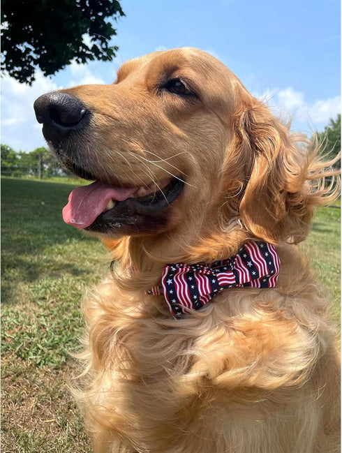 Lionheart glory American Flag Dog Collar, 4 of July Dog Bow Collar Heavy Duty Adjustable Patriotic Dog Collar with Bowtie for Small Dogs Pet Gift...