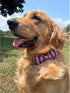 Lionheart glory American Flag Dog Collar, 4 of July Dog Bow Collar Heavy Duty Adjustable Patriotic Dog Collar with Bowtie for Small Dogs Pet Gift...