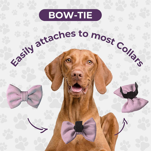 Dog Collar with Bow Tie and Tangle-Free Dog Leash Set, Adjustable Soft and Comfy, Perfect for Playful Pups (Extra Small, Pink) (Set of 3)...