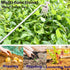 Weed Puller,Weeding Tool,Weeder Tool,Weed Puller Tool with Stainless Steel Claws & Removable Handle - Durable, Efficient Garden Cleanup Tool (19.7...