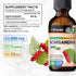 Schisandra Tincture - Organic Schisandra Supplement - Natural Adaptogen for Mood Support - Schisandra Berry Liquid Extract - Alcohol and Sugar Fre...