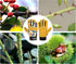 Leather Tough Cowhide Work Gardening Gloves for Women Thorn Proof, Working Gloves for Weeding, Digging, Planting, Gardening Gifts for Women, Size ...